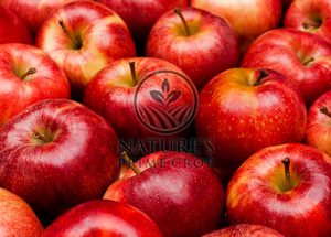 Apple Extract