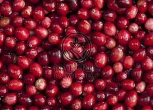 Cranberry