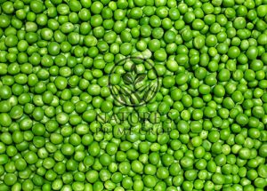 Green Pea