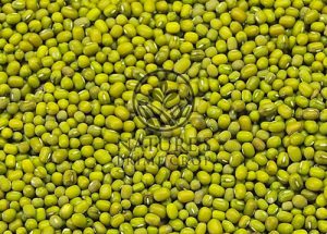 Green mung beans