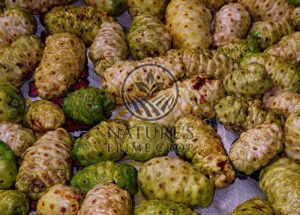 Noni Extract