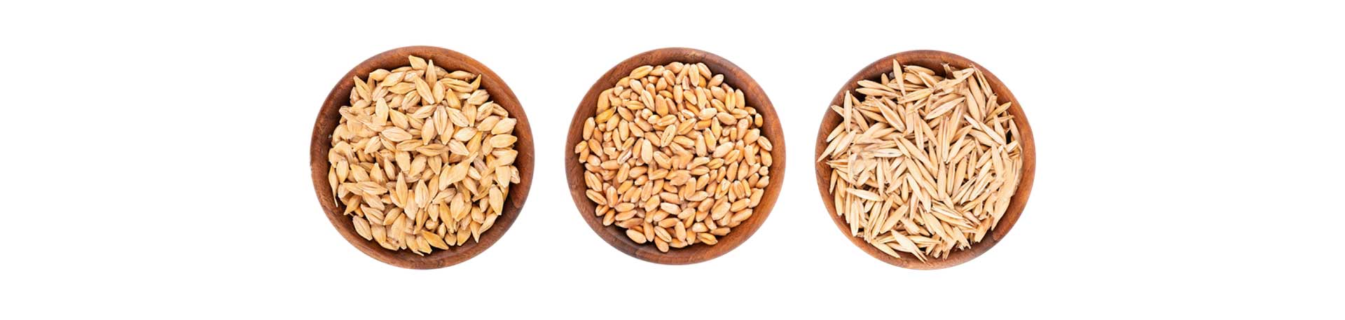 banner-grains