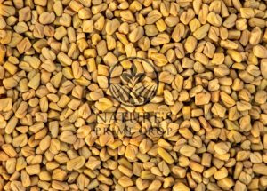 Fenugreek